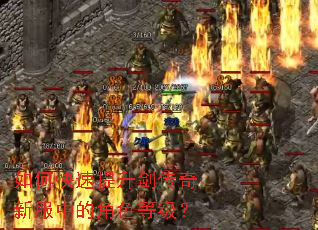 如何快速提升剑传奇新服中的角色等级? 如何快速提升剑传奇新服中的角色等级?