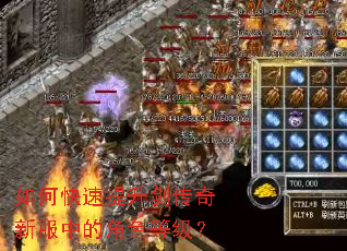 如何快速提升剑传奇新服中的角色等级? 如何快速提升剑传奇新服中的角色等级?