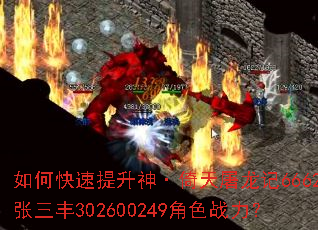 ��ο�������������������6662������302600249��ɫս����
