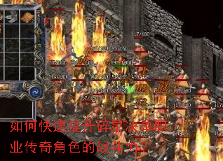 ��ο����������Ǿ���ְҵ�����ɫ��ս������