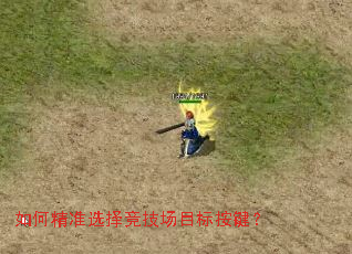 ��ξ�׼ѡ�񾺼���Ŀ�갴����