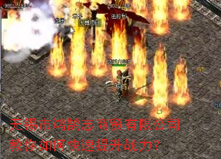 �����к���־��ó���޹�˾������ο�������ս����
