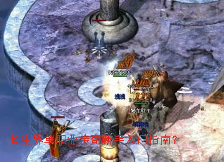 �����絥ְҵ������������ָ�ϣ�