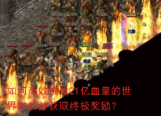 ��θ�Ч��ս21��Ѫ��������BOSS����ȡ�ռ�������
