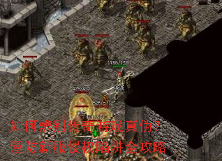 ��α������Ϸ��α�������·���Ȩ����ȫ����