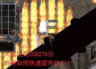 ��������308276��������ο�������ս����