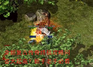 ȫ�¸��Ŵ����ռ������ʴ����ף��������ֱؿ�