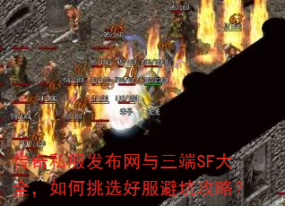 ����˽��������������SF��ȫ�������ѡ�÷��ܿӹ��ԣ�