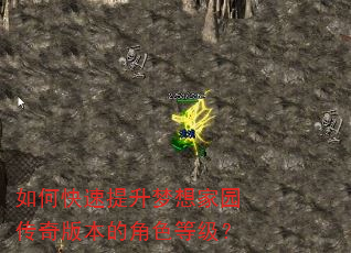 如何快速提升梦想家园传奇版本的角色等级? 如何快速提升梦想家园传奇版本的角色等级?