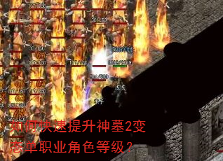 ��ο���������Ĺ2��̬��ְҵ��ɫ�ȼ���