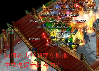 如何在天堂超变单职业中快速提升战斗力? 如何在天堂超变单职业中快速提升战斗力?
