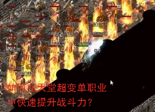 如何在天堂超变单职业中快速提升战斗力? 如何在天堂超变单职业中快速提升战斗力?