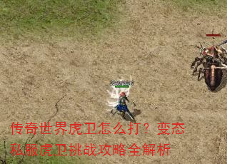 传奇世界虎卫怎么打?变态私服虎卫挑战攻略全解析 传奇世界虎卫怎么打?变态私服虎卫挑战攻略全解析