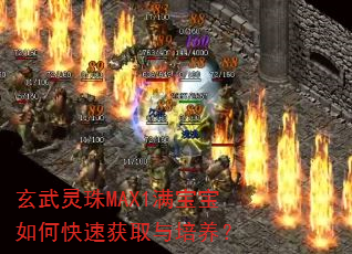 玄武灵珠MAX1满宝宝如何快速获取与培养? 玄武灵珠MAX1满宝宝如何快速获取与培养?