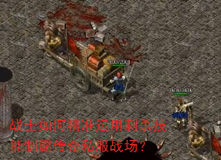 战士如何精准运用刺杀技能制霸传奇私服战场? 战士如何精准运用刺杀技能制霸传奇私服战场?