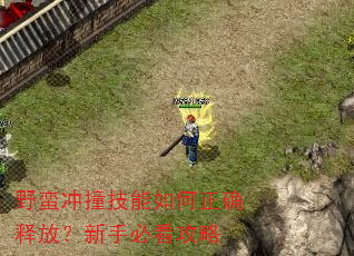 野蛮冲撞技能如何正确释放?新手必看攻略 野蛮冲撞技能如何正确释放?新手必看攻略
