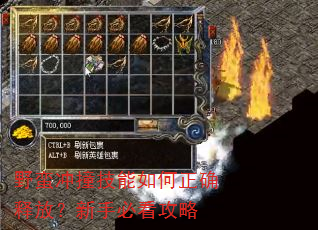 野蛮冲撞技能如何正确释放?新手必看攻略 野蛮冲撞技能如何正确释放?新手必看攻略