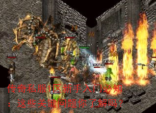 传奇私服1区新手入门必知:这些关键问题你了解吗? 传奇私服1区新手入门必知:这些关键问题你了解吗?