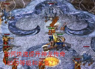 如何快速提升神龙传奇185的等级和装备? 如何快速提升神龙传奇185的等级和装备?