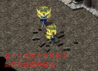 盘古火龙复古传奇新手如何快速提升等级? 盘古火龙复古传奇新手如何快速提升等级?