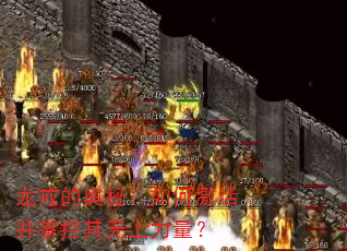 龙戒的奥秘:如何激活并掌控其无上力量? 龙戒的奥秘:如何激活并掌控其无上力量?