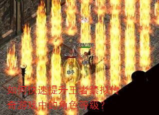 如何快速提升王者禁拟传奇游戏中的角色等级? 如何快速提升王者禁拟传奇游戏中的角色等级?