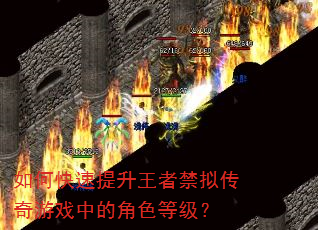 如何快速提升王者禁拟传奇游戏中的角色等级? 如何快速提升王者禁拟传奇游戏中的角色等级?