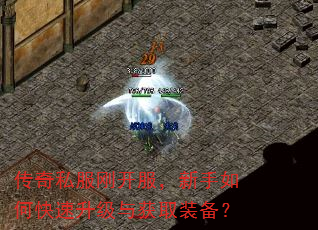传奇私服刚开服,新手如何快速升级与获取装备? 传奇私服刚开服,新手如何快速升级与获取装备?
