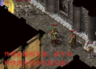 传奇私服刚开服,新手如何快速升级与获取装备? 传奇私服刚开服,新手如何快速升级与获取装备?