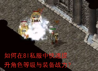 如何在8l私服中快速提升角色等级与装备战力? 如何在8l私服中快速提升角色等级与装备战力?