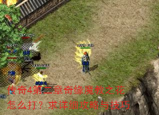 传奇4第二章奇缘魔教之花怎么打?求详细攻略与技巧 传奇4第二章奇缘魔教之花怎么打?求详细攻略与技巧
