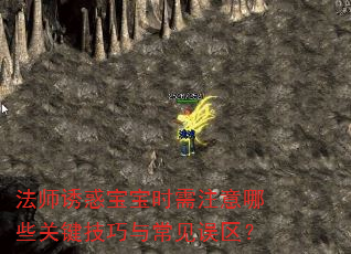法师诱惑宝宝时需注意哪些关键技巧与常见误区? 法师诱惑宝宝时需注意哪些关键技巧与常见误区?