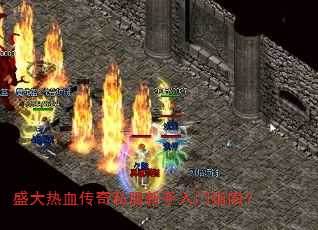盛大热血传奇私服新手入门指南? 盛大热血传奇私服新手入门指南?