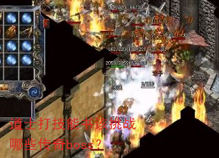 ��ʿ���������ս��Щ����boss��