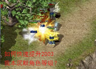 如何快速提升2003我本沉默角色等级? 如何快速提升2003我本沉默角色等级?