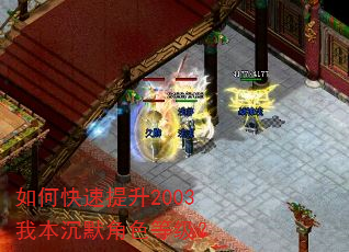 如何快速提升2003我本沉默角色等级? 如何快速提升2003我本沉默角色等级?