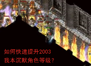 如何快速提升2003我本沉默角色等级? 如何快速提升2003我本沉默角色等级?