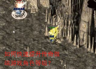 如何快速提升传奇微端游戏角色等级? 如何快速提升传奇微端游戏角色等级?