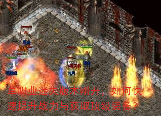 ��ְҵ��ʧ�汾�տ�����ο�������ս�����ȡ����װ����