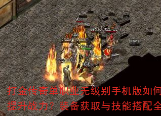 ����浥ְҵ�޼����ֻ�����ο�������ս����װ����ȡ�뼼�ܴ���ȫ����