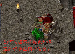 ���ѡ�񲻻�ǮҲ�ܳ���ľ��䵥ְҵ���棿