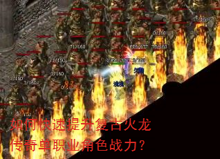 ��ο����������Ż������浥ְҵ��ɫս����