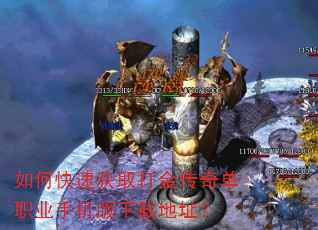 ��ο��ٻ�ȡ����浥ְҵ�ֻ������ص�ַ��