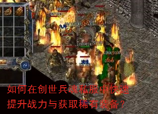 ����ڴ�������˽���п�������ս�����ȡϡ��װ����