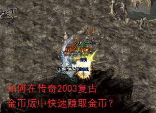 ����ڴ���2003���Ž�Ұ��п���׬ȡ��ң�