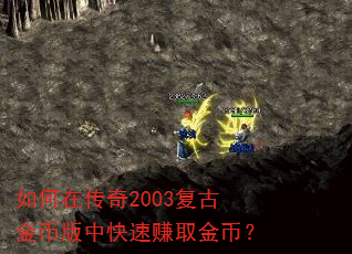 ����ڴ���2003���Ž�Ұ��п���׬ȡ��ң�
