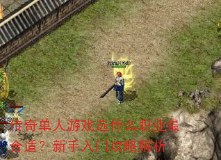 ���浥����Ϸѡʲôְҵ����ʣ��������Ź��Խ���